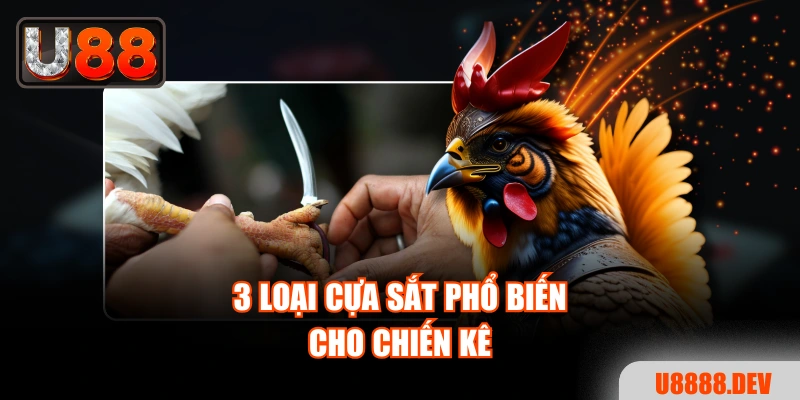 3 loại cựa sắt phổ biến cho chiến kê